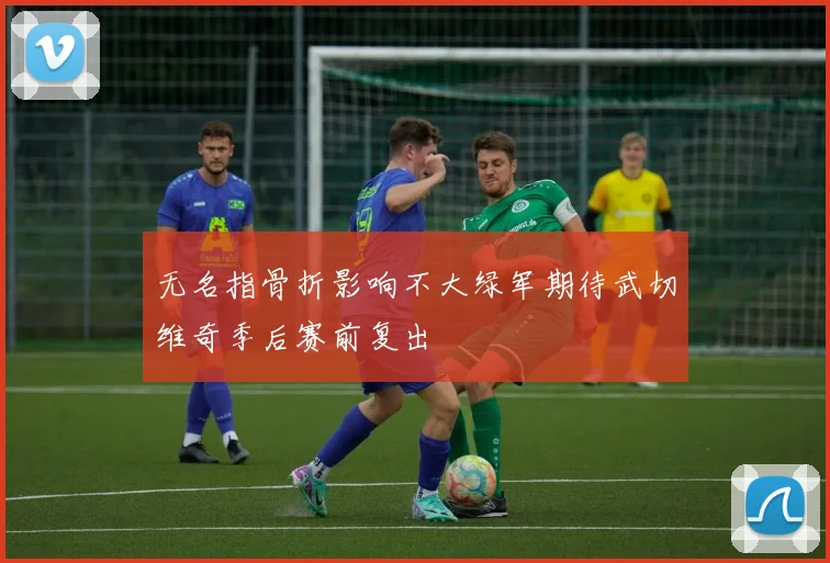 无名指骨折影响不大绿军期待武切维奇季后赛前复出
