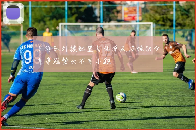 上海队外援配置与化学反应强劲今年争冠势头不可小觑
